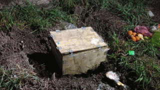 Người dân phát hiện thi thể bé sơ sinh bị bỏ trong khu mộ ở Đồng Tháp: Nguyên nhân khiến bé tử vong