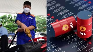 Giá xăng dầu hôm nay 4/5: Dầu Diesel giảm gần 37,1%, RON 95 đã giảm hơn 10 nghìn đồng từ đỉnh
