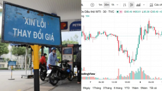 Giá xăng dầu hôm nay 8/5: Xăng RON95 dầu diesel 'đi lùi', Việt Nam rẻ hơn bao nhiêu so với nước láng giềng?