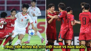 Xem trực tiếp bóng đá U17 Việt Nam vs U17 Hàn Quốc ở đâu, kênh nào? Link trực tiếp U17 châu Á 2026