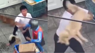 Công an thông tin vụ người đàn ông dùng chó quật vào người shipper ở TP HCM, đã rõ nguồn cơn