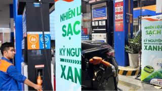 Giá xăng sinh học E10 hôm nay rẻ bèo, Petrolimex và Mipec sẽ chỉ bán xăng E10 từ 20/5