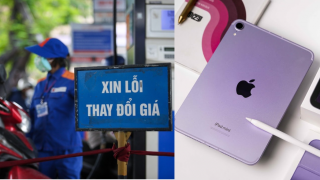 Giá xăng hôm nay ngày 29/5 đồng loạt giảm sâu,  RON 95 giảm lần thứ 9, giá iPad Mini 7 rẻ
