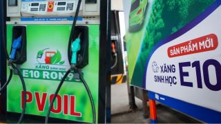 3 thông tin sai lệch về xăng sinh học E10 đang được lan truyền, chuyên gia cảnh báo