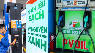 Đề xuất giải pháp đặc biệt kéo giá xăng E10 rẻ vượt trội so với RON 95, xe cũ nên chọn xăng gì thay thế?