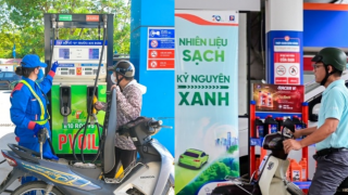 Giá xăng dầu hôm nay 1/6: Giá E10 ở Petrolimex, PVOIL có thật sự rẻ? Chênh lệch với RON95 bao nhiêu?
