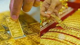 Giá vàng SJC, vàng nhẫn hôm nay giảm cắm đầu, dự báo tuần tới đầy biến động, nên mua hay bán lúc này?