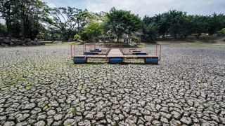 El Nino trở lại sau thời gian chuyển pha, dự báo cuối năm xuất hiện kịch bản ít người mong đợi