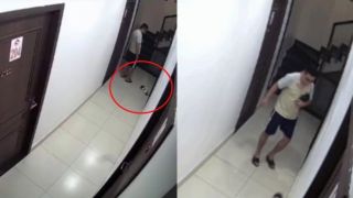 Hải Phòng: Động thái của nam thanh niên đá chết chú chó rồi bỏ vào thùng rác chung cư, gia đình bức xúc 