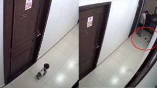 Lời giải thích của nam thanh niên đá chết chú chó nhỏ rồi thản nhiên cho vào thùng rác chung cư