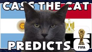 Dự đoán kết quả Argentina vs Ai Cập - World Cup 2026: Mèo tiên tri khiến Messi mừng thầm