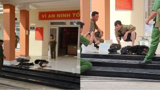 Hai đối tượng nghi trộm chó gặp tai nạn trên đường đưa chó đi bán, liều lĩnh rút súng điện ra đe dọa