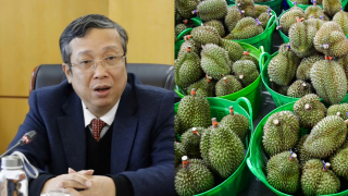 Thứ trưởng cùng loạt cán bộ bị bắt, góc khuất trong cấp mã số vùng trồng sầu riêng được hé mở