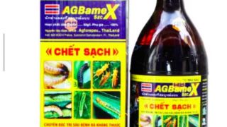 'Gã điên tình' đâm dao vào nữ chủ thẩm mỹ viện ở Hà Nội, bất chấp nạn nhân cầu xin còn con nhỏ