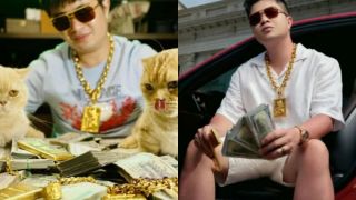 Vì sao công ty lừa đảo của Mr Pips bố trí bảo vệ ở mọi phòng làm việc?