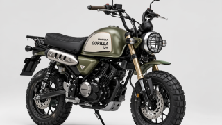Honda Gorilla 125 có thể trở lại, chiếc Monkey 125 hóa thân thành mini-bike phiêu lưu