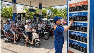 Cập nhật giá xăng dầu hôm nay 10/8 mới nhất: Giá dầu đồng loạt tăng? Giá xăng trong nước giảm sâu