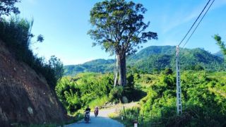 Đặc điểm nhận dạng đối tượng sát hại em trai giữa đêm rồi bỏ trốn cùng hung khí ở Nghệ An