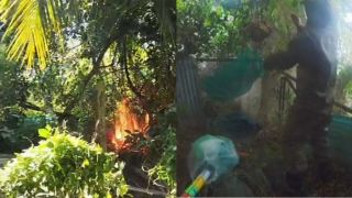 Không có phép màu đến với người phụ nữ 63 tuổi bị ong vò vẽ đốt gần 100 mũi ở Tây Ninh
