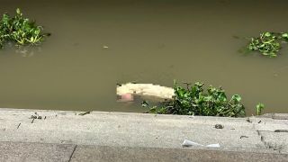 Hai thi thể đàn ông liên tiếp trôi dạt vào bờ sông Sài Gòn, 1 người đeo balo có cục bê tông