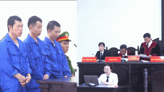 4 anh em ruột tranh chấp đất kèm tuyên bố ‘ai vào đất tao là tao chém hết’: Bản án cuối cùng cho 4 bị cáo