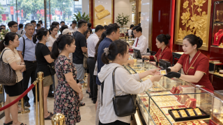 Cập nhật giá vàng hôm nay 8/9: Vàng miếng SJC diễn biến lạ sau khi giảm sâu? Vàng nhẫn cao nhất 149 triệu
