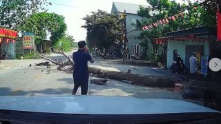 Cơ quan chức năng thông tin về vụ cưa đổ cây trúng người tử vong, danh tính nạn nhân xấu số