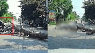 Vụ người đàn ông tử vong vì cây đè trúng: Công an thông tin diễn biến mới gây chú ý về người cưa cây