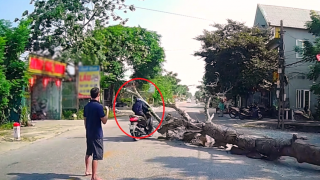 Vụ cưa cây đổ trúng người đi đường tử vong: Gia đình tiết lộ thêm thông tin mới về người cưa cây