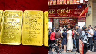 Cập nhật giá vàng hôm nay 13/9: Vàng trong nước giảm sâu hiếm thấy, thị trường báo hiệu điều gì?