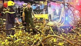 Danh tính hai vợ chồng thương vong vì bị nhánh cây lớn rơi trúng xe ở TP HCM