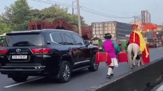 Thực hư clip 'thầy trò Đường Tăng' cưỡi ngựa đi vào làn ô tô tại TPHCM