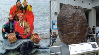 Lão rùa chở thầy trò Đường Tăng qua sông hóa ra có thật, tồn tại hàng triệu năm trước