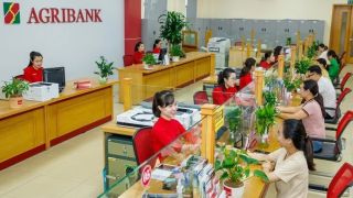 Agribank rao bán khoản nợ hơn 126 tỷ đồng của công ty từng mang tên Nghệ sĩ Quyền Linh
