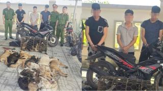 Kiểm tra đột xuất nhà người đàn ông SN 1980, công an tóm gọn nhóm 'siêu trộm chó’, chỉ mất 20 giây/vụ