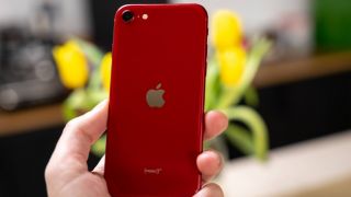 Đây là iPhone 5G rẻ nhất Việt Nam ngang tầm iPhone 13 Pro Max, chụp ảnh không thua iPhone 17e
