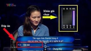 Câu hỏi khiến 100% khán giả Ai Là Triệu Phú trả lời sai, đáp án chính xác gây bất ngờ