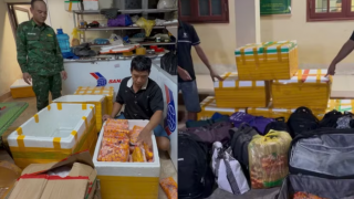 Sự thật phía sau 700kg trứng gà non bị thu giữ ở Lào Cai, hé lộ thủ đoạn qua mặt bộ đội biên phòng