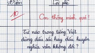 Từ tiếng Việt nào đổi dấu sắc sang dấu huyền mà nghĩa vẫn không đổi?