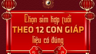 Chọn sim phong thủy hợp tuổi theo 12 con giáp liệu có đúng?