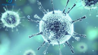 Virus Corona có thể lây từ mẹ sang con hay không?