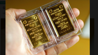 Giá vàng 11/12: Tăng mạnh nhất trong vòng 3 tháng qua