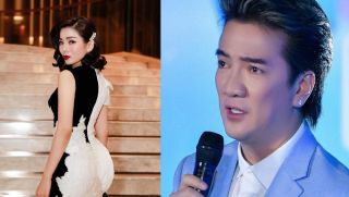 Sao Việt đăng gì 11/11: Lệ Quyên thả rông vòng 1; Đàm Vĩnh Hưng bị mỉa mai 'bỏ trốn' giữa ồn ào