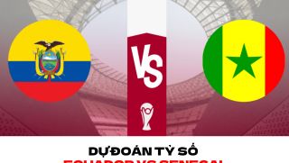 Dự đoán tỷ số Ecuador vs Senegal - Bảng A World Cup 2022: Khan hiếm bàn thắng?