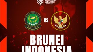 Trực tiếp bóng đá Brunei vs Indonesia, 17h ngày 26/12 - Bảng A - AFF Cup 2022; Link xem VTV5 FULL HD