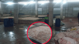 Tổng cục Quản lý thị trường thông tin về việc vừa tiêu hủy 7,1 tấn lòng lợn bốc mùi tại Bắc Ninh