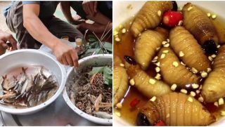 Những món ăn sống kinh dị nhất Việt Nam, có những món chỉ nghe tên thôi cũng đã thấy sợ