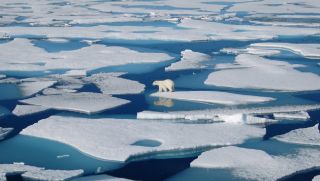 Thảm kịch kinh hoàng nếu toàn bộ sông băng trên Trái Đất tan chảy