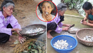 Kỳ lạ ngôi làng ‘độc nhất vô nhị’ ở Việt Nam: Ăn đất thay cơm, đào rỗng ruột đồi vì ‘nghiện’