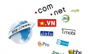 Domain Là Gì? Những Điều Bạn Cần Biết Về Tên Miền